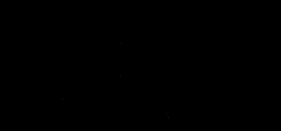 Signature of Diego Miescher
